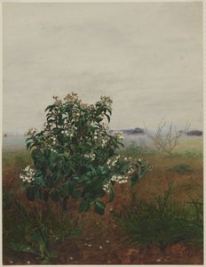  od Léon Bonvin