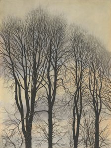 Strom na obloze od Leon Spilliaert
