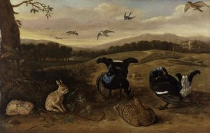Černá zvěř, králíci a vlaštovky v parku, cca 1700 (olej na plátně) od Leonard Knyff