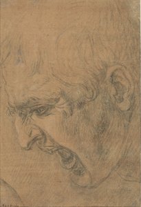 Hlava křičícího muže od Leonardo da Vinci (follower of)