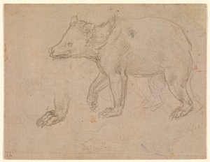Medvěd na procházce od Leonardo da Vinci