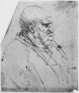 Groteskní profil muže napravo, c1480 1945 od Leonardo da Vinci