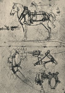 A Harnessed Cart-Horse and Studies of Harness, c1480 1945 od Leonardo da Vinci