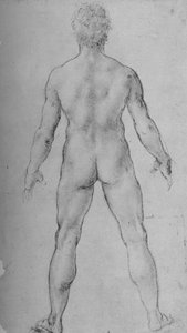 A Nude Man viděný zezadu, c1480 1945