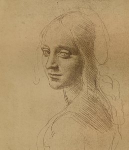 Ženská hlava, c1472-c1519 1883, od Leonardo da Vinci