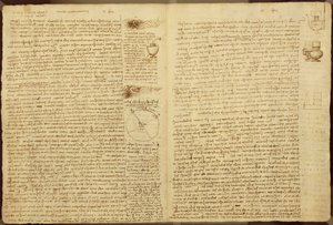 Stránka z Codexu Leicester, 1508-12 (sépiový inkoust na lněném papíře) od Leonardo da Vinci