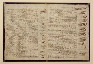 Stránka z Codexu Leicester, 1508-12 (sépiový inkoust na lněném papíře) od Leonardo da Vinci