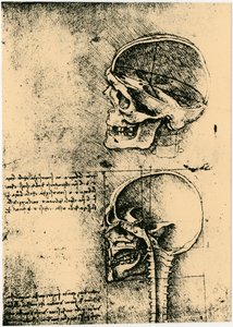 Anatomická skica, dvě studie lidské lebky, c1489 od Leonardo da Vinci