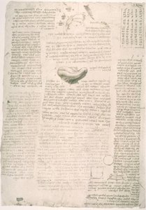 Anatomiestudien od Leonardo da Vinci