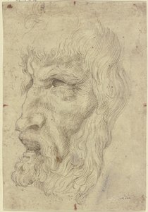 Starožitné masky nalevo od Leonardo da Vinci
