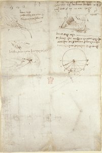 Arundel 263, f.126v Tři poznámky a skici na vodě; diagram letu ptáků, cca 1500-5 (pero a inkoust na papíře) od Leonardo da Vinci