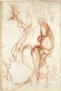 Arundel 263, f.149, Planimetrické skici řeky Arno; poznámky k hospodaření s vodou od Leonardo da Vinci