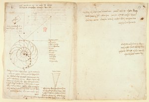 Arundel 263 f.44v, f.59 Náčrt oka a nosu tváře z profilu; poznámky o vodě, z 