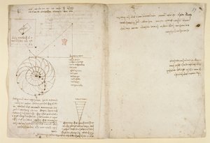 Arundel 263, f.44v, f.59 Náčrt oka a nosu tváře z profilu; poznámky o vodě, z 