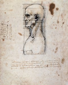 Busta muže z profilu s mírami a poznámkami (sépiový inkoust na lněném papíře) od Leonardo da Vinci