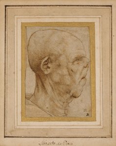 Karikatura hlavy starého muže, z profilu vpravo, kolem 1507 od Leonardo da Vinci