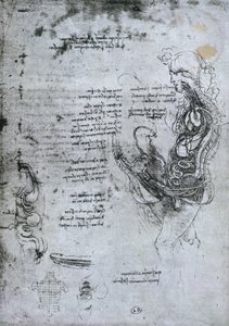Coition of Hemisected Man and Woman, faksimile copy od Leonardo da Vinci