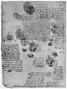 Schéma krevního víru v srdci, konec 15. nebo začátek 16. století 1954 od Leonardo da Vinci