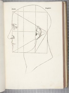 Božská proporce od Leonardo da Vinci