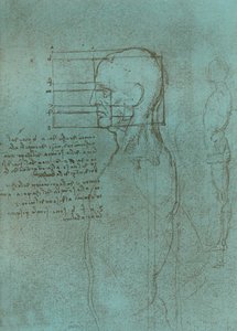 Kresba ilustrující teorii proporcí lidské postavy, c1472-c1519 1883. od Leonardo da Vinci