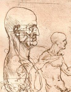 Kresba ilustrující teorii proporcí lidské postavy, c1472-c1519 1883 od Leonardo da Vinci