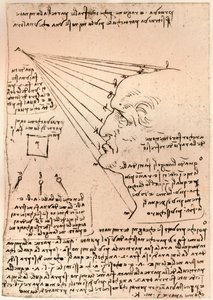 Kresba mužské hlavy, znázorňující praxi malby, c1472-c1519 1883 od Leonardo da Vinci