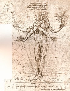 Kresba alegorické kompozice, c1472-c1519 1883 od Leonardo da Vinci