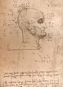 Kresba hlavy zločince, c1472-c1519 1883 od Leonardo da Vinci