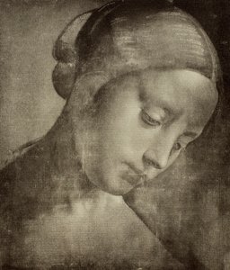 Ženská hlava, kresba Leonardo da Vinci. Kabinet kreseb a tisků, Galerie Uffizi, Florencie od Leonardo da Vinci