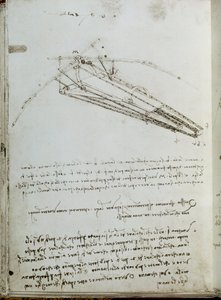 Letící strojní kreslení. Rukopis Leonarda De Vinciho (Leonardo da Vinci od Leonardo da Vinci