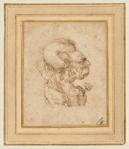 Groteskní hlava staré ženy od Leonardo da Vinci