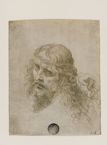 Hlava Krista korunovaná trním, c. 1500. od Leonardo da Vinci