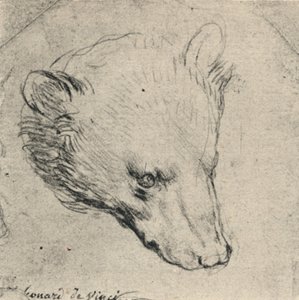 Head of a Bear, c1480 1945 od Leonardo da Vinci