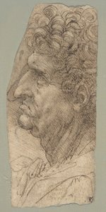 Hlava muže v profilu, otočená doleva od Leonardo da Vinci