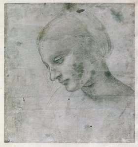 Hlava mladé ženy nebo hlava Panny, kolem roku 1490 (stříbrný bod na papíře) od Leonardo da Vinci