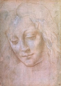 Hlava ženy (kovový hrot zvýšený kvašem) od Leonardo da Vinci
