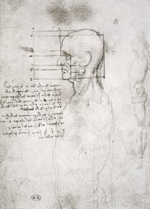 Hlava starého muže z profilu, faksimile kopie (pero a inkoust na papíře) od Leonardo da Vinci