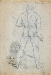 Herkules a nemejský lev, c. 1506-08 (uhlí a kovový hrot na bílém papíře) od Leonardo da Vinci