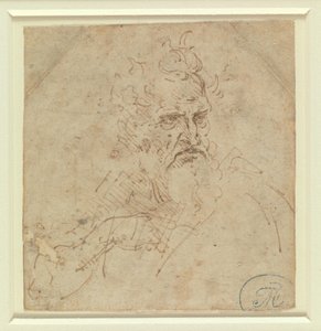 Hlava přísně se tvářícího šedivého muže s pravou paží od Leonardo da Vinci