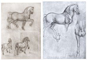 Koně, c1490-1510 od Leonardo da Vinci