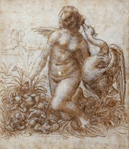 Leda a labuť (pero a hnědý inkoust přes černou křídu na papíře) od Leonardo da Vinci