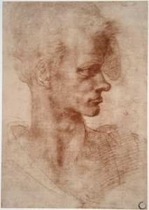Leonardo da Vinci (Leonardo da Vinci) (1452 - 1519): Karikaturní portrét mladého muže (Imagine) od Leonardo da Vinci