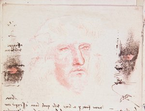 Poznámky o změnách směru letu, rukopisná stránka z Codici Rari III 35.2, fol. 10v z Pojednání o letu ptáků, 1505 (pero a tuš na papíře) od Leonardo da Vinci