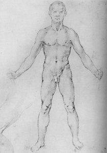 Nahý muž s nataženýma rukama, při pohledu zepředu, c1480 1945