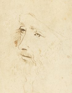 Portrét Leonarda da Vinciho, cca 1518. od Leonardo da Vinci,