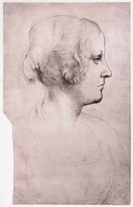 Portrét dívky s čepicí, 1493-1495 od Leonardo da Vinci