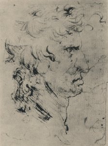 Profil muže napravo, c1480 1945 od Leonardo da Vinci