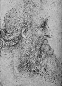 Profil starého vousatého muže napravo, c1480 1945 od Leonardo da Vinci