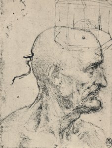 Profil vpravo od plešatého muže, c1480 1945 od Leonardo da Vinci
