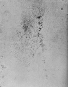 Profil napravo starého muže, c1480 1945 od Leonardo da Vinci